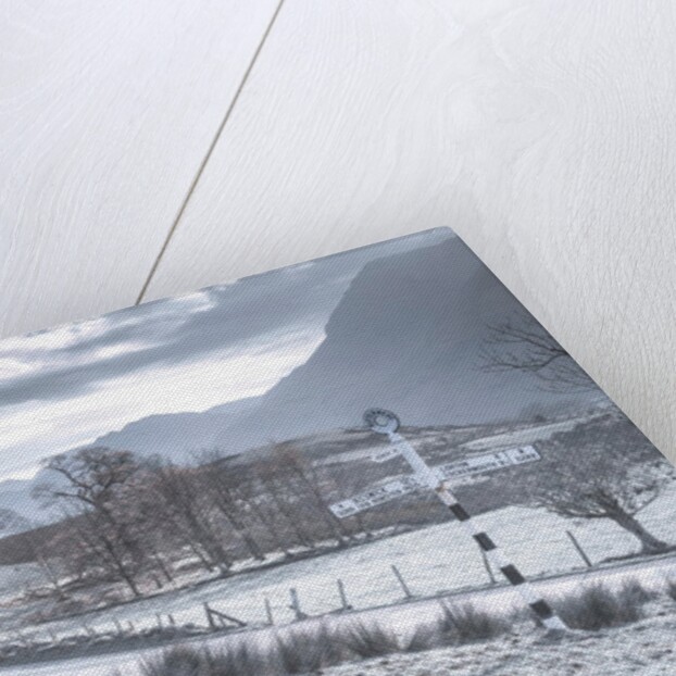 Country road, Lake district by Assaf Frank